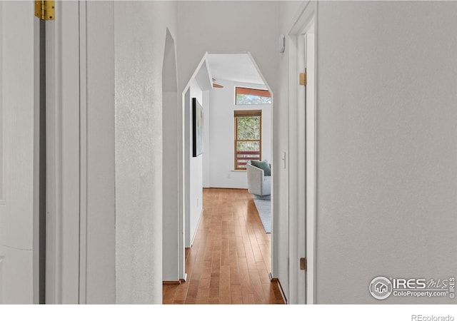 880 Hummer Dr, Nederland, CO 80466 - hallway featuring wood finished floors, a textured wall, arched walkways, and baseboards