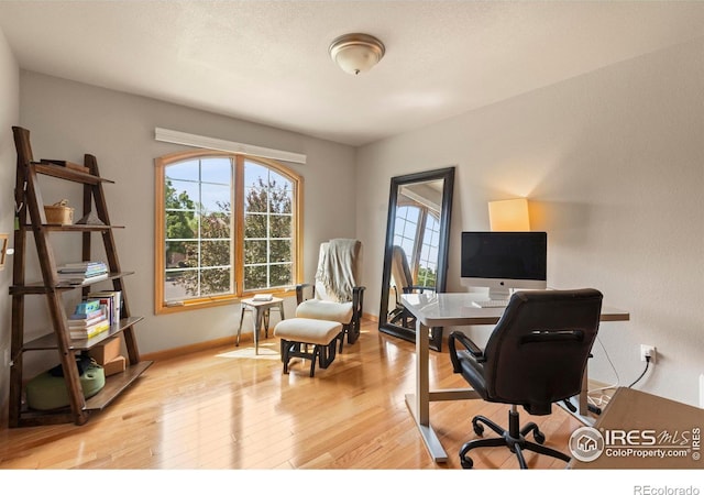 5751 Round Rock Ct, Fort Collins, CO 80528 - office space with light wood finished floors and baseboards