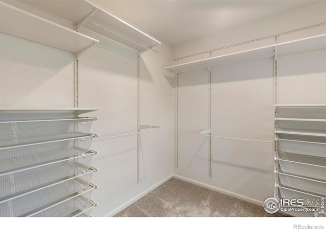17616 Bluetrail Ave, Parker, CO 80134 - spacious closet featuring carpet flooring