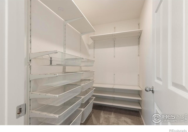 17616 Bluetrail Ave, Parker, CO 80134 - spacious closet featuring carpet floors