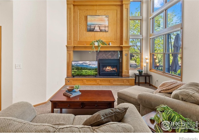 3020 Blue Mountain Ct, Loveland, CO 80537 - photo 11