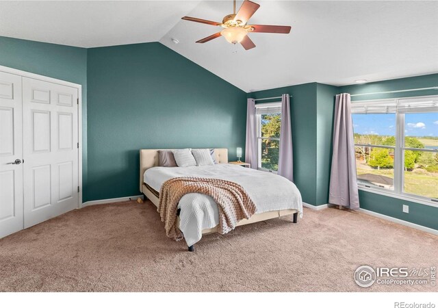 3020 Blue Mountain Ct, Loveland, CO 80537 - photo 14