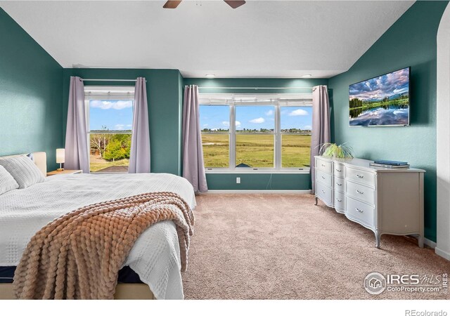 3020 Blue Mountain Ct, Loveland, CO 80537 - photo 15