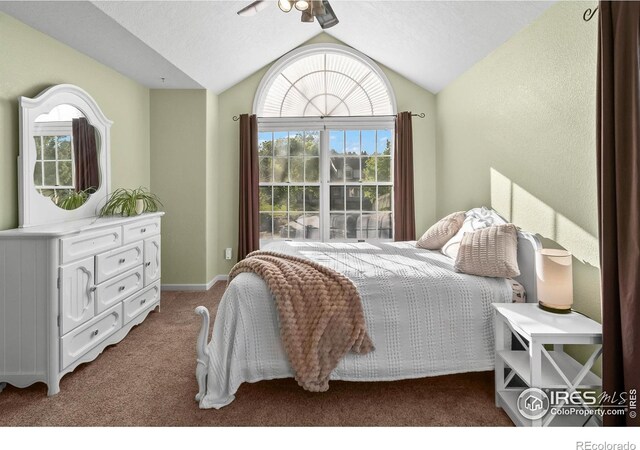 3020 Blue Mountain Ct, Loveland, CO 80537 - photo 19