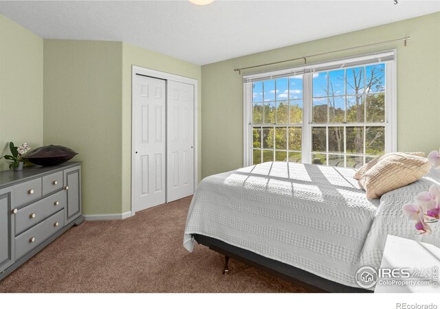 3020 Blue Mountain Ct, Loveland, CO 80537 - photo 20