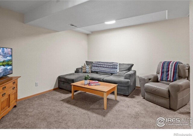 3020 Blue Mountain Ct, Loveland, CO 80537 - photo 27