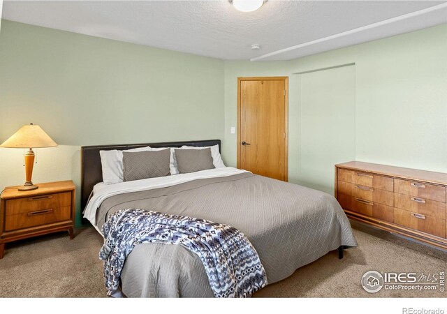 3020 Blue Mountain Ct, Loveland, CO 80537 - photo 28