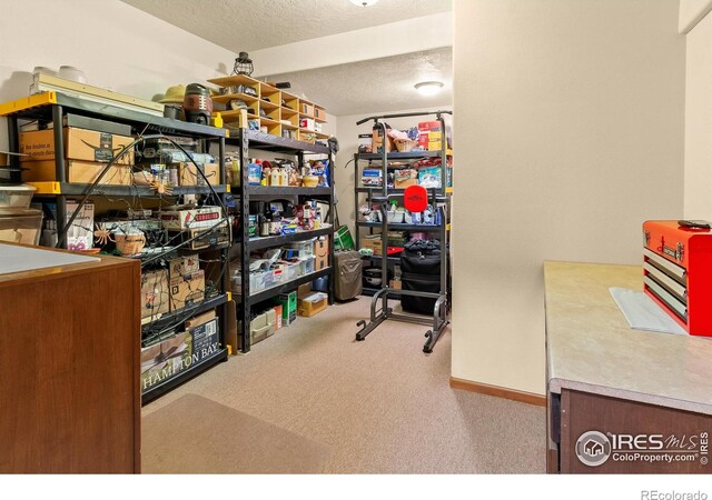 3020 Blue Mountain Ct, Loveland, CO 80537 - photo 31