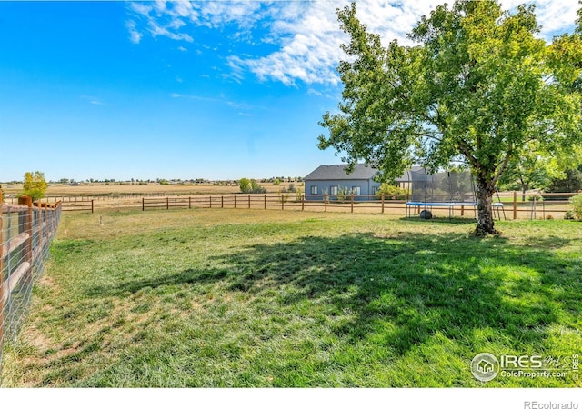 3020 Blue Mountain Ct, Loveland, CO 80537 - photo 32