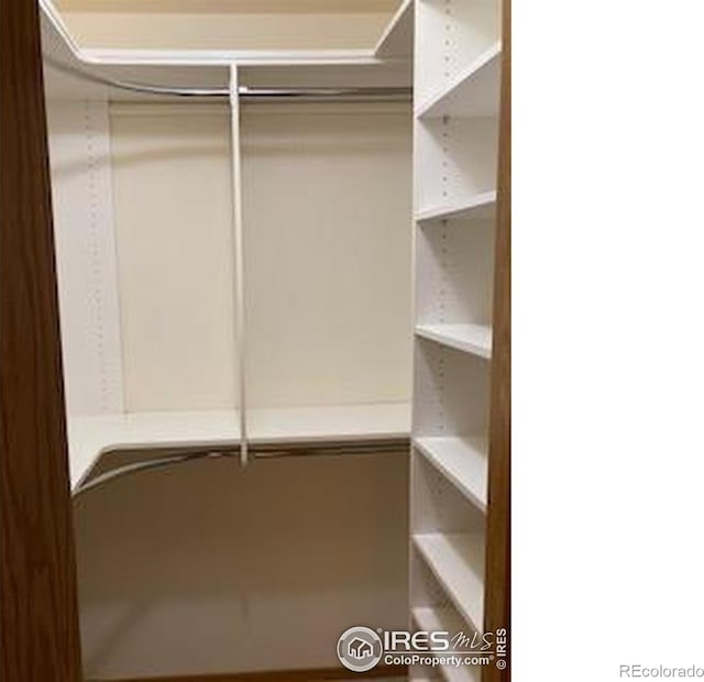2929 W 81st Ave Unit H, Westminster, CO 80031 - view of walk in closet