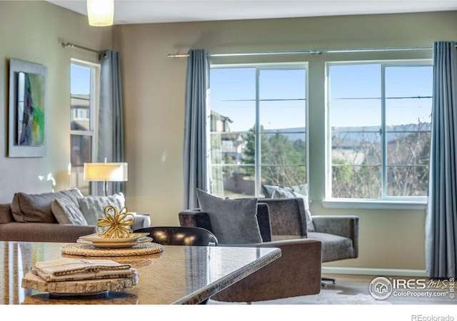 4000 Donnington Cir, Castle Rock, CO 80104 - dining space featuring wood finished floors and baseboards