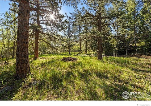 105 S Caribou St, Nederland, CO 80466 - photo 4