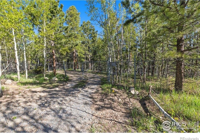 105 S Caribou St, Nederland, CO 80466 - photo 5