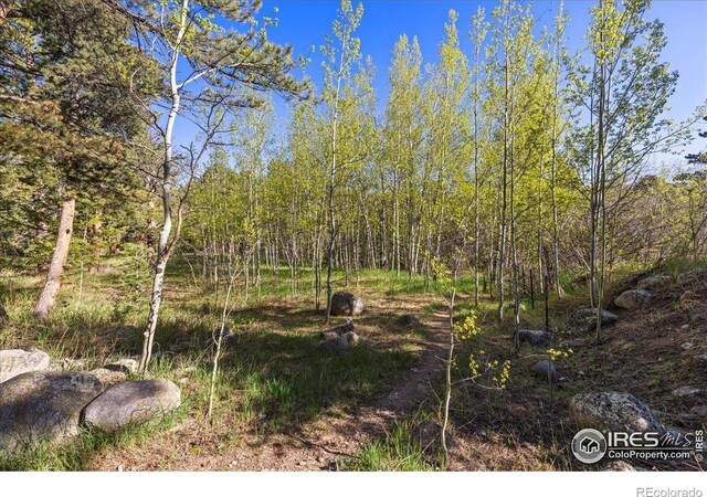 105 S Caribou St, Nederland, CO 80466 - photo 6