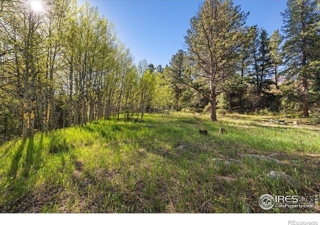 105 S Caribou St, Nederland, CO 80466 - photo 7