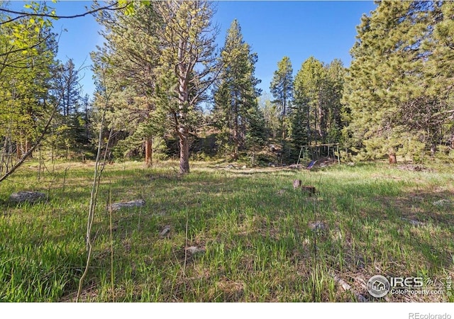 105 S Caribou St, Nederland, CO 80466 - photo 10