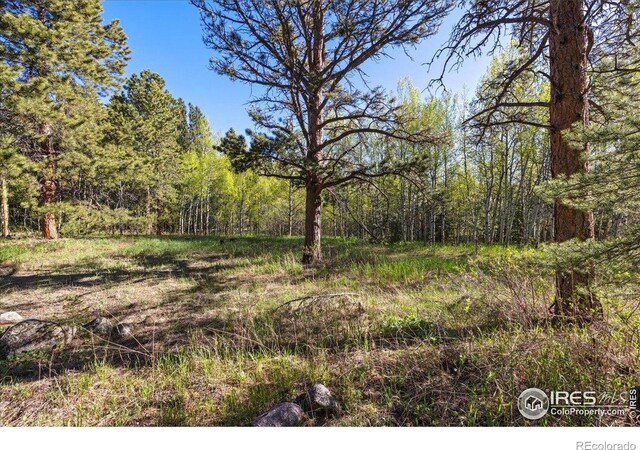 105 S Caribou St, Nederland, CO 80466 - photo 11