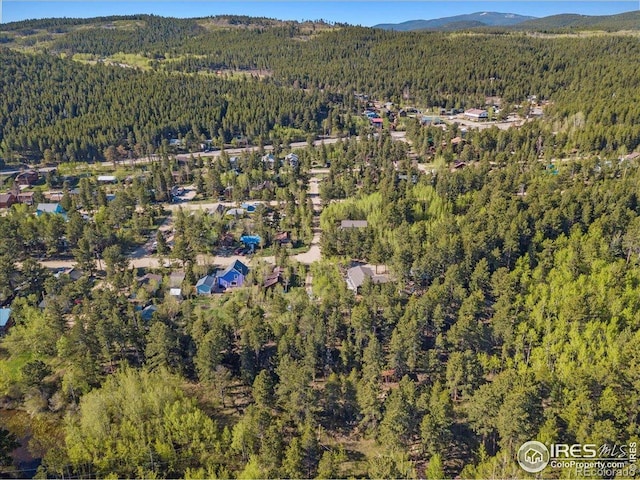 105 S Caribou St, Nederland, CO 80466 - photo 14