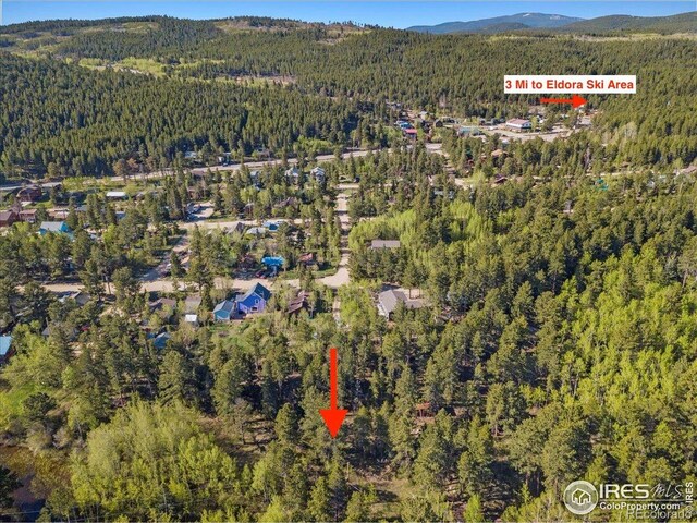 105 S Caribou St, Nederland, CO 80466 - photo 15
