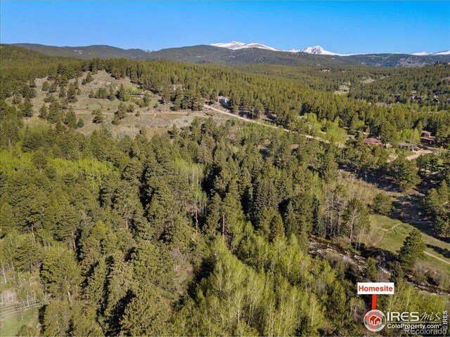105 S Caribou St, Nederland, CO 80466 - photo 16