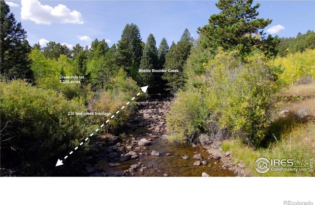 105 S Caribou St, Nederland, CO 80466 - photo 17