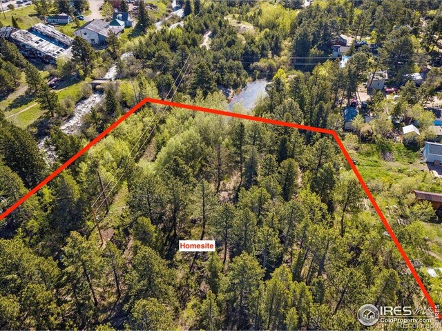 105 S Caribou St, Nederland, CO 80466 - photo 18