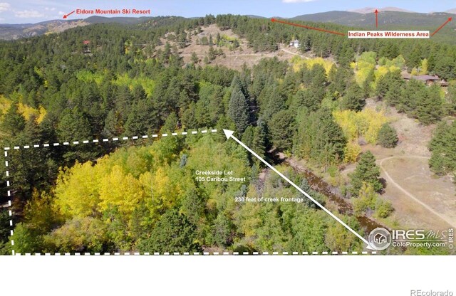 105 S Caribou St, Nederland, CO 80466 - photo 19