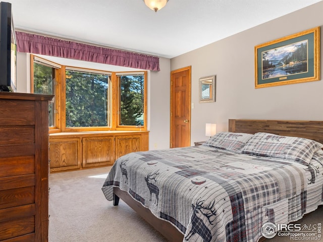 3807 Dollar Lake Dr, Estes Park, CO 80517 - bedroom with carpet flooring