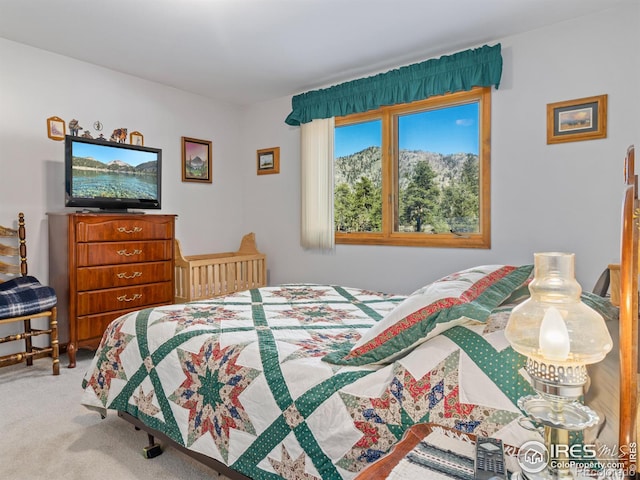 3807 Dollar Lake Dr, Estes Park, CO 80517 - view of carpeted bedroom