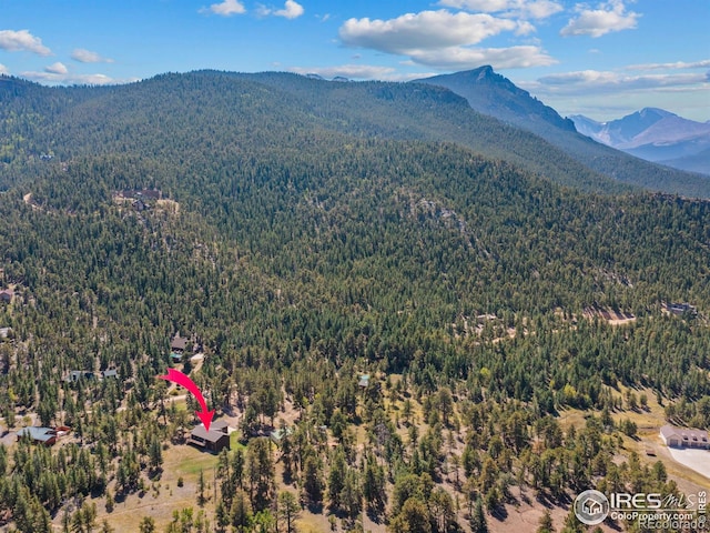 3807 Dollar Lake Dr, Estes Park, CO 80517 - view of mountain background featuring a forest