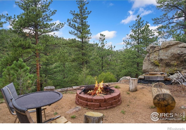 272 Mount Alice Ct, Livermore, CO 80536