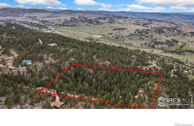 272 Mount Alice Ct, Livermore, CO 80536 - photo 4