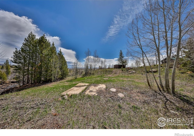 6442 County Road 22, Walden, CO 80480