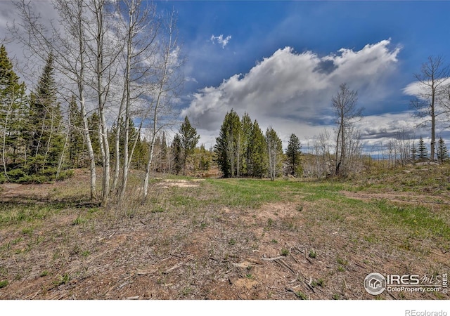 6442 County Road 22, Walden, CO 80480