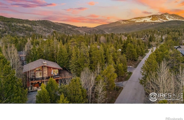 216 N Gold Flake, Breckenridge, CO 80424 - mountain view with a forest