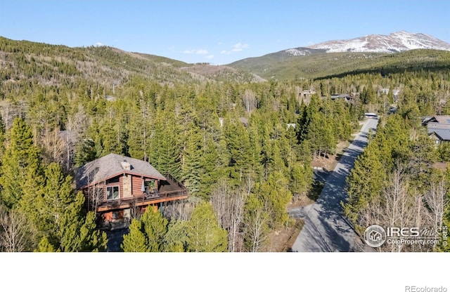 216 N Gold Flake, Breckenridge, CO 80424 - mountain view with a forest