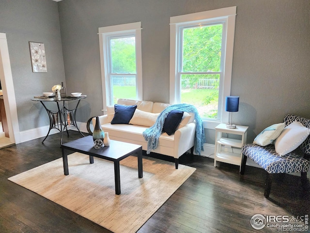 936 E 4th St, Loveland, CO 80537 - living room with hardwood / wood-style floors and baseboards