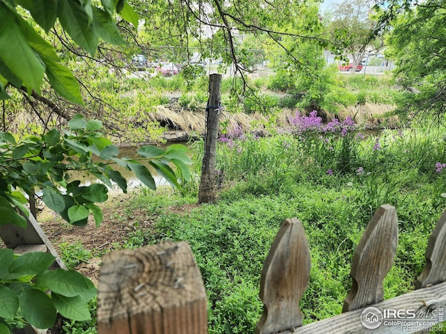 936 E 4th St, Loveland, CO 80537 - view of yard