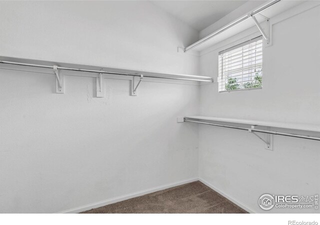 2855 Rock Creek Cir Unit 200, Superior, CO 80027