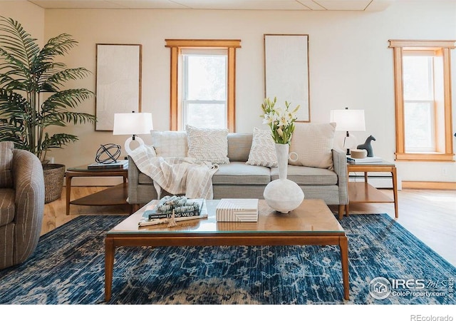 1155 Monroe Ave, Loveland, CO 80537 - living room featuring wood finished floors and a baseboard radiator
