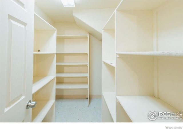 1155 Monroe Ave, Loveland, CO 80537 - view of walk in closet