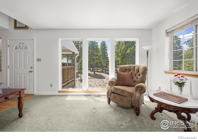 266 Gap Rd, Black Hawk, CO 80422 - living area featuring carpet floors and baseboards