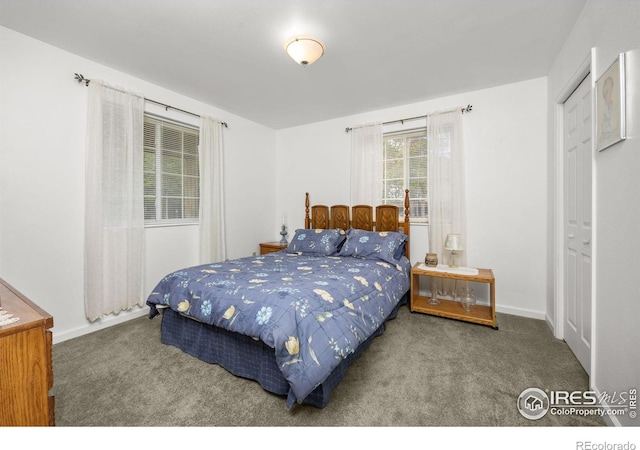 266 Gap Rd, Black Hawk, CO 80422 - bedroom with carpet floors and baseboards