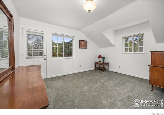 266 Gap Rd, Black Hawk, CO 80422 - additional living space featuring carpet, baseboards, and vaulted ceiling