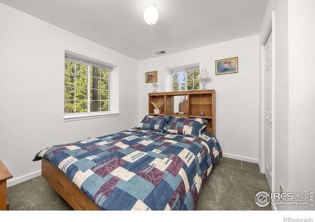266 Gap Rd, Black Hawk, CO 80422 - carpeted bedroom featuring multiple windows and baseboards