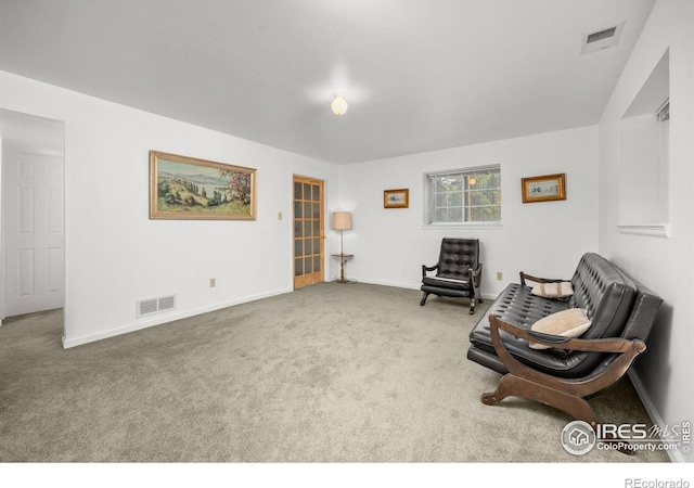 266 Gap Rd, Black Hawk, CO 80422 - sitting room with carpet and baseboards