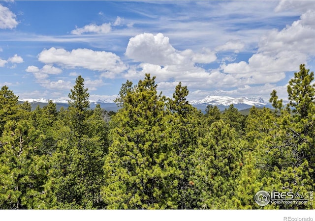 266 Gap Rd, Black Hawk, CO 80422 - view of mountain background featuring a heavily wooded area
