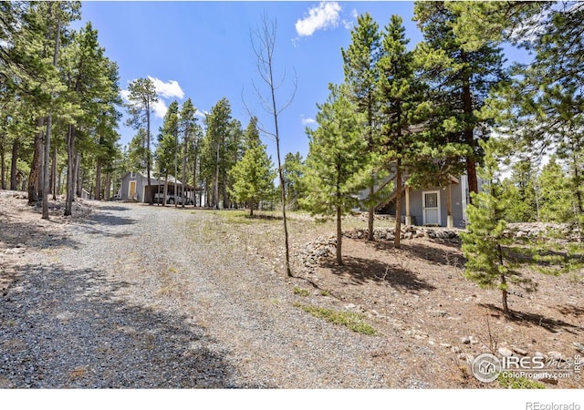 266 Gap Rd, Black Hawk, CO 80422 - view of yard