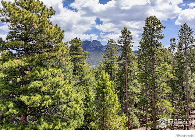 266 Gap Rd, Black Hawk, CO 80422 - mountain view with a forest
