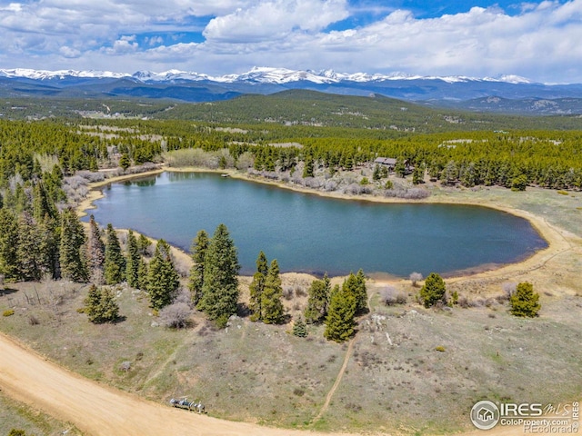 266 Gap Rd, Black Hawk, CO 80422 - bird's eye view of a forest and a water and mountain view